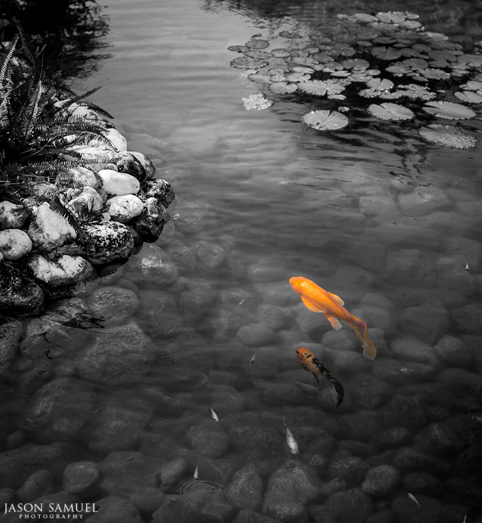 Montego Bay, Jamaica - 8