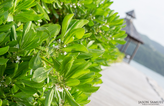 Montego Bay, Jamaica - 15